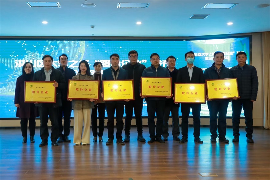 武汉市腾亚科技有限公司被评为优秀企业瞪羚企业(图3)